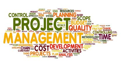 Picture of Project Management  (January 31, 2025 - March 28, 2025)