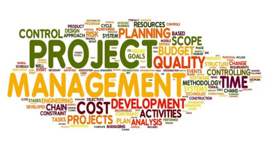 Picture of Project Management  (January 31, 2025 - March 28, 2025)